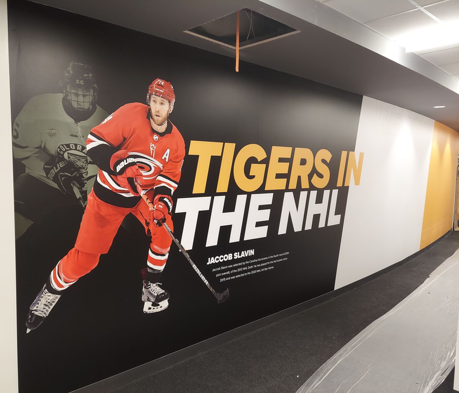 Ed Robson Arena